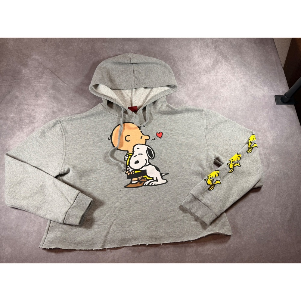 Peanuts Charlie Brown Snoopy Cropped Hoodie Gray Graphic Sweatshirt Medium